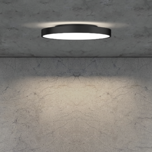 AL99C Deckenleuchte - Accutron