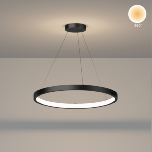 PD35B-Innen-f-300x300 - Accutron