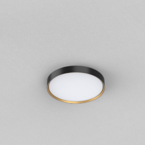 Deckenleuchte ORCA  -  AL166-12-24W  D300x58mm-IP44-IK06-1700lm